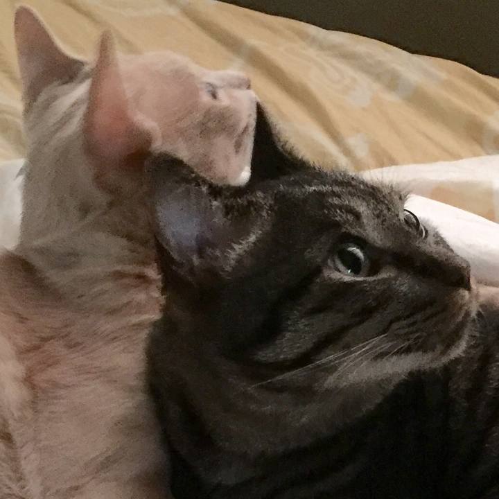 C8470143 2563 4c21 9ec1 de304ff7d24c