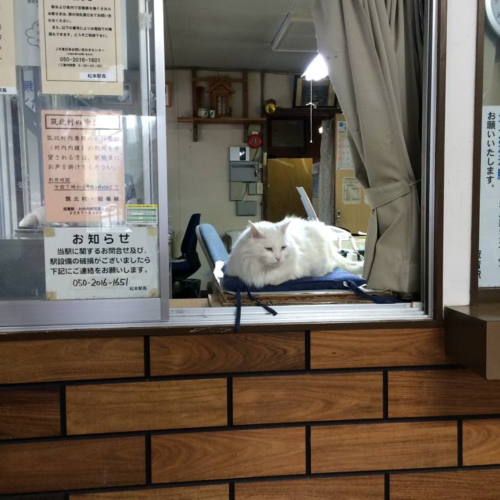 C8471168 39a1 4e25 b267 1ca765431919