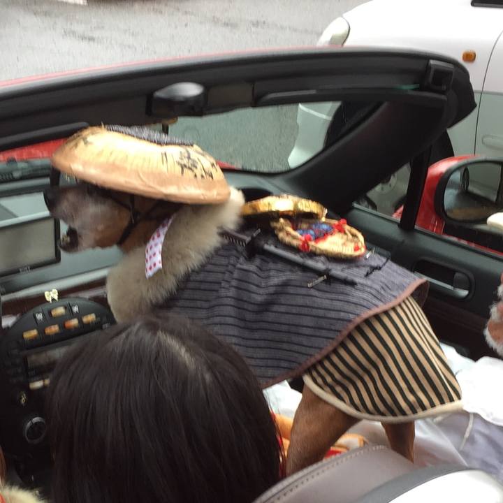 C8483fab f3e8 46bb 9454 329444ce3a3b