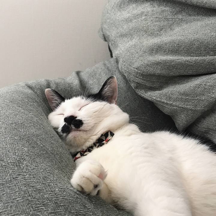 C8489de7 5256 4df7 a68e d4c6602f594c