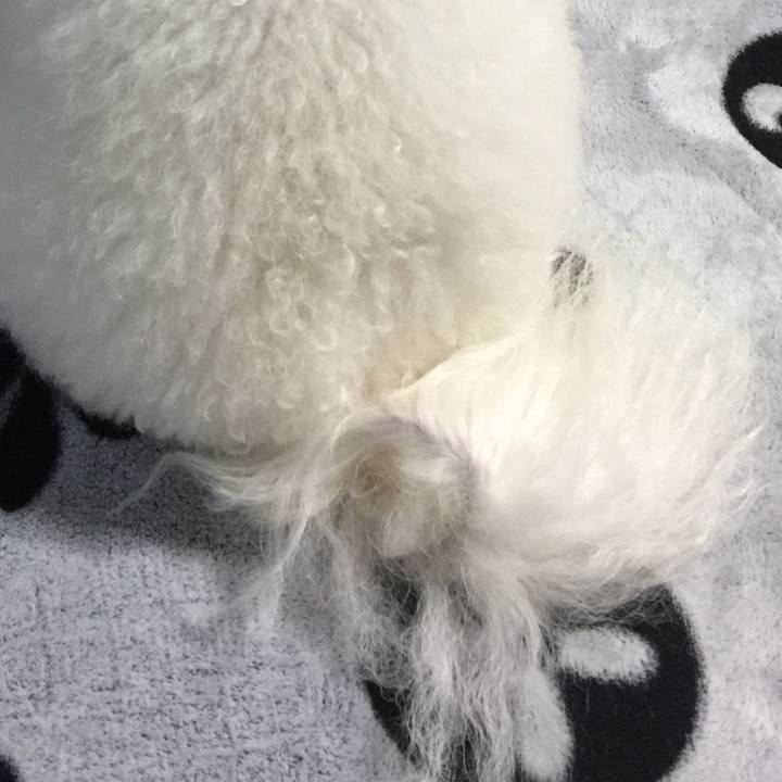 C84a3fa0 48a0 42f5 b3cd a41ac36c7fac