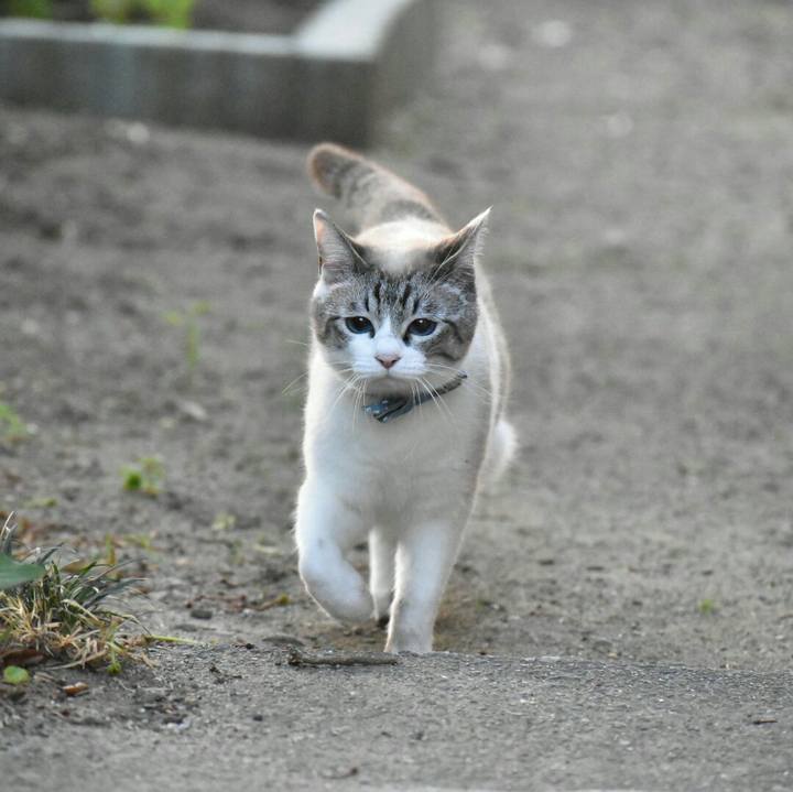 C84b1656 cbcd 4c68 830b 8ae85924320f