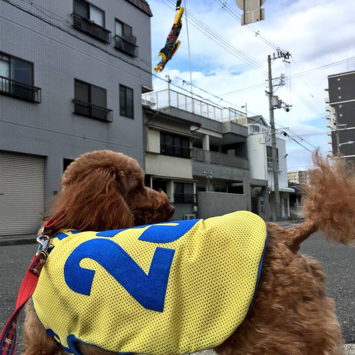 C84b36a1 28b2 4607 86a9 56d655175d93