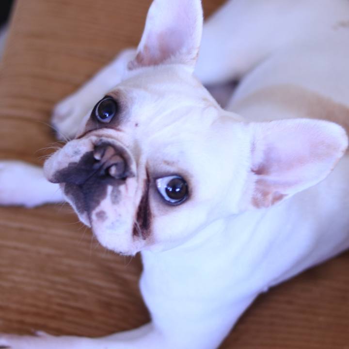 C84b754d 5309 4dcf 8d57 362c22f12faa