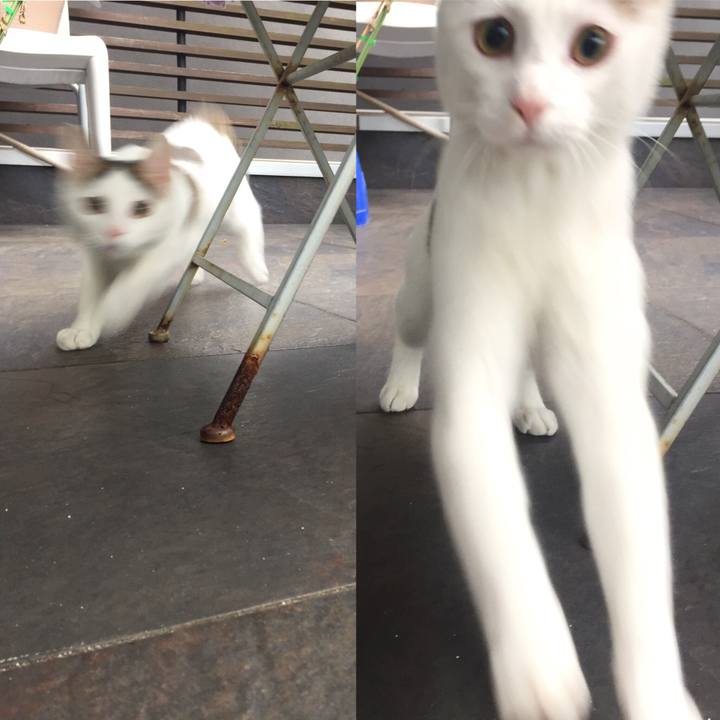 C84b9d30 cdb2 4bf8 ad37 6be416e9b24c