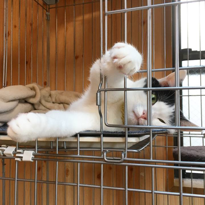 C84c2bd8 ce05 497f af6b 627d3b2b8afd