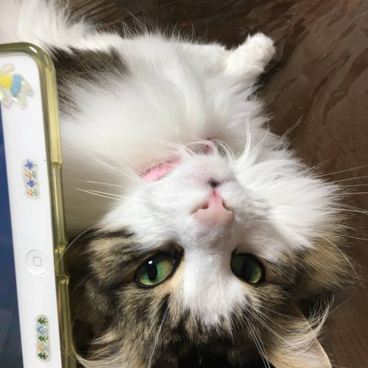 C84cdbf5 c1d5 4b02 b408 53147f624b89