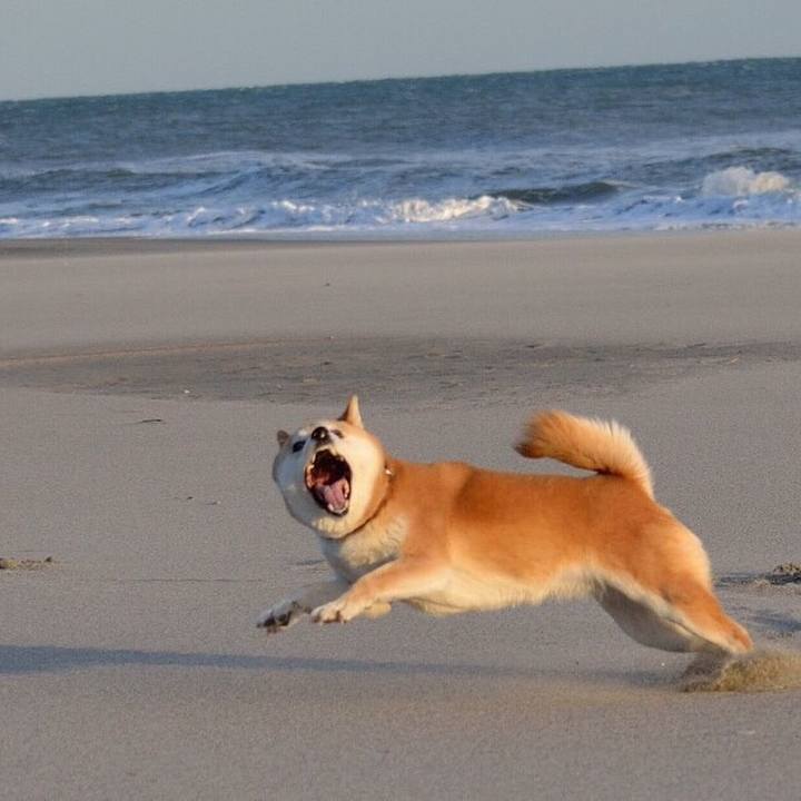 C84e8737 f192 4552 b3b3 eed41b1090a7