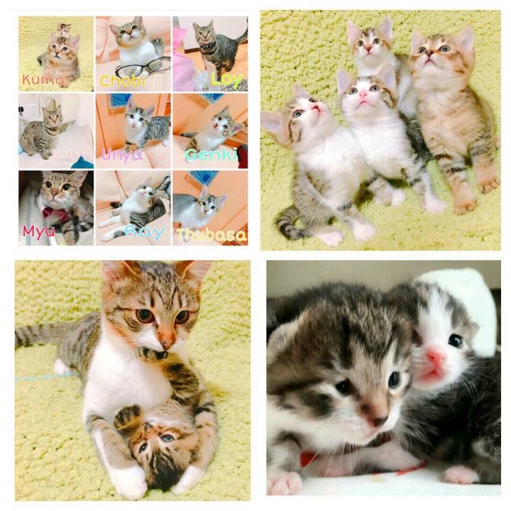 C84ead9a db7e 40f1 b7d9 cb286286257a