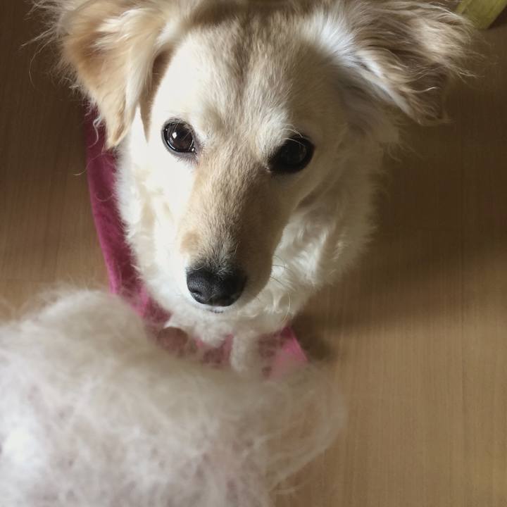 C84eba34 6465 461e aaa3 cc5ceac55b49