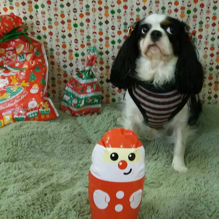 C84ed473 ac51 4cd5 a520 7a227fdf9866