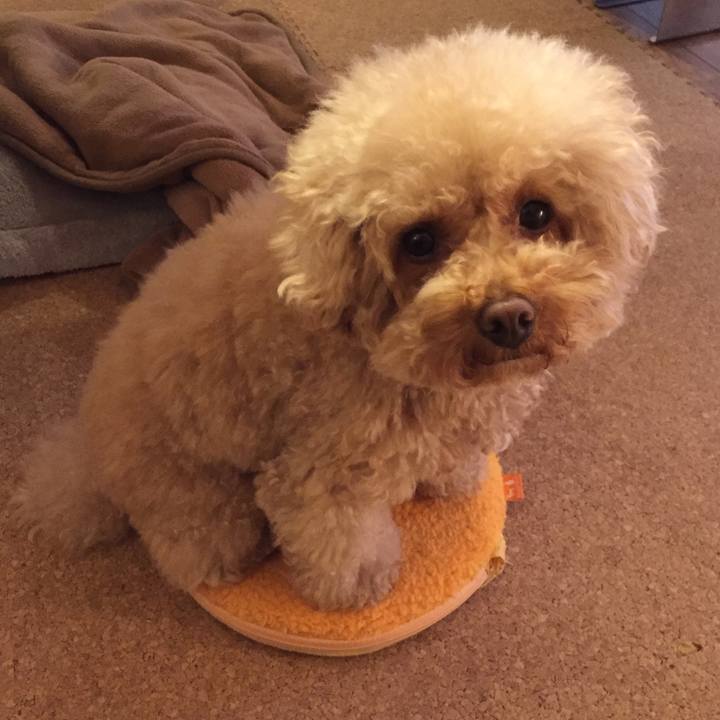 C84f18fb e526 42b6 8ff4 7093ea09a1a8