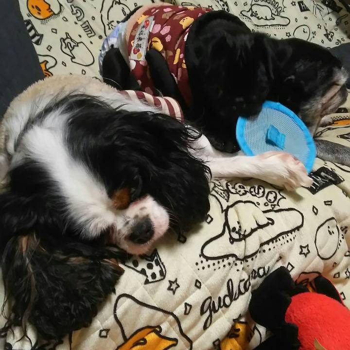 C84f5372 f759 414b b965 c5fc172e9b29