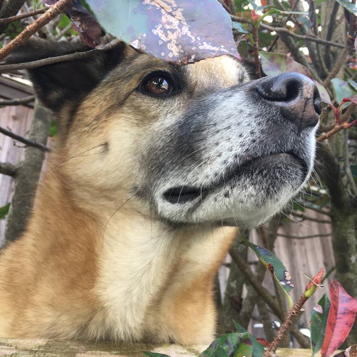 C84f938e 7896 4123 9724 84540d27cba4