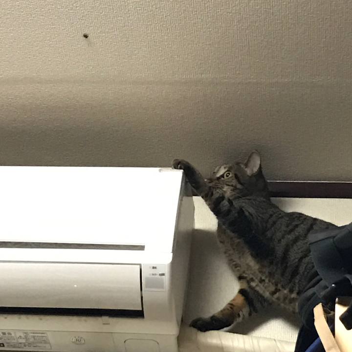 C8507043 7172 4ad7 b019 74241b8507ce