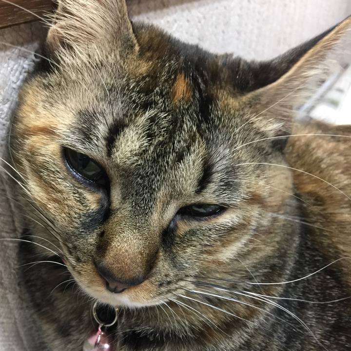 C8507cc4 fa13 498b b4d6 e6f9bb7bc9ba