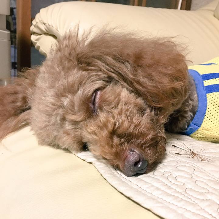 C850927c 516a 4967 a14d 6660e33e6fce