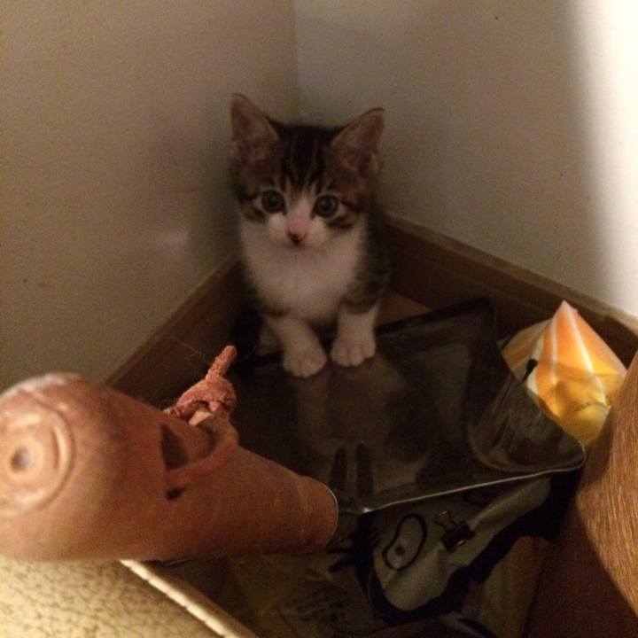 C850e23d 7eb6 4645 a3db 3eba7063b470