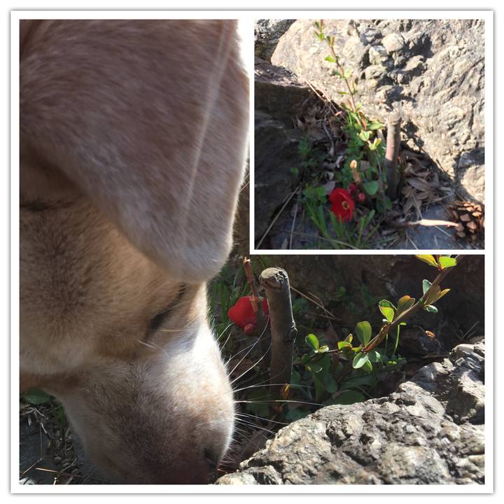 C851bb6e e2ec 42fd be20 aaf8648fd453