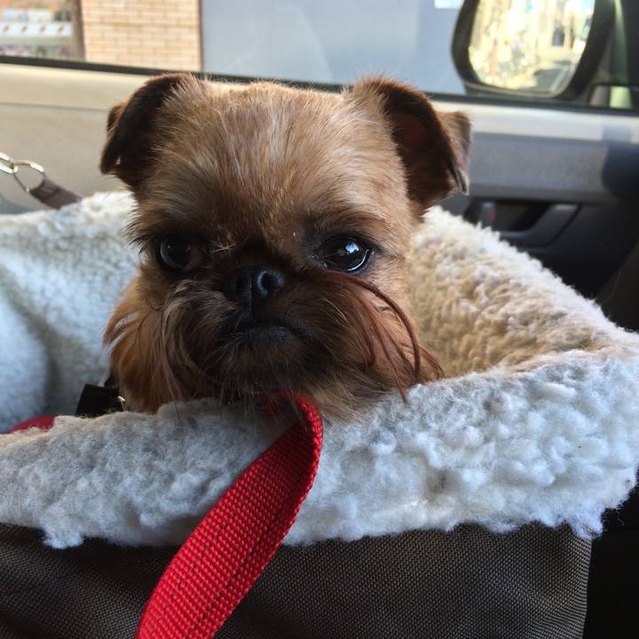 C851bd0e f553 4978 a8b0 f492ecdac810