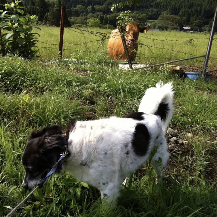 C852c7cf 9712 4eb0 a6f3 f895bc9142bc