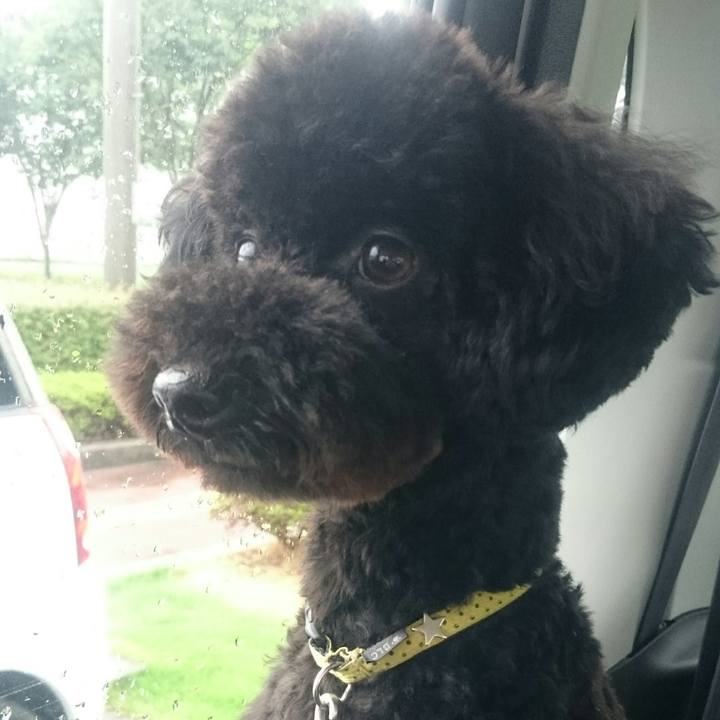 C852f29e 1bf7 424f 97ac 3febc94311fb