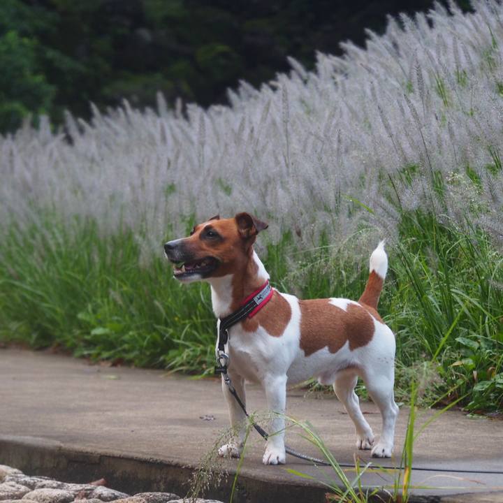 C853407c 9c3c 4a1a 9673 aefc01a263f1