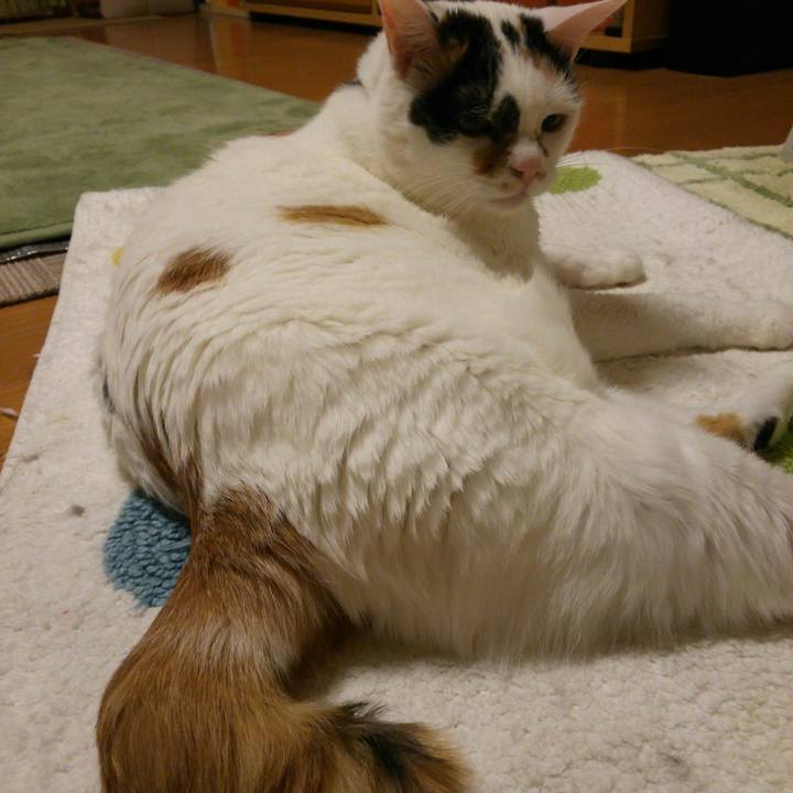 C8538897 ce91 4c63 91d9 c190584cfaa1