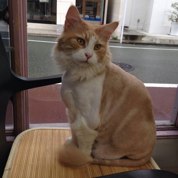 C855bd9c 6877 4252 ab8a dc94562d79e7