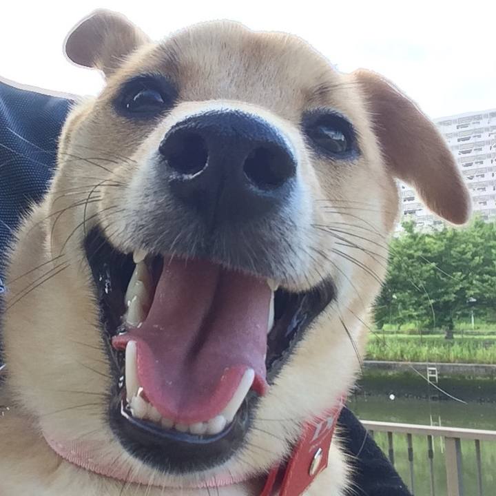 C856647e 79e7 4490 b128 819919d65e22