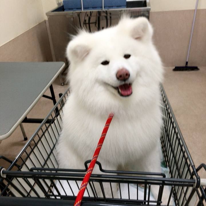 C856a989 01b2 4cf6 a824 6d2464a1e4f8