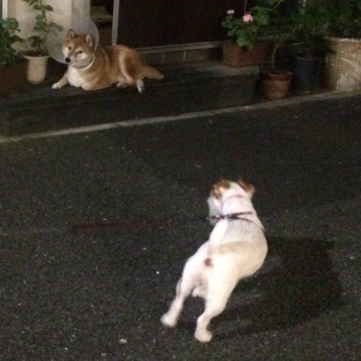 C856b1cc 403e 485b b2f0 451915e8933a