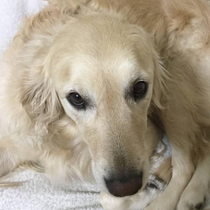 C8573ef5 39d4 4aa5 aa4a 477383ea74f3