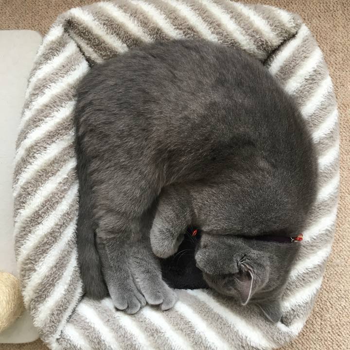 C85750b8 0dcd 47aa 8627 389cde3862a7