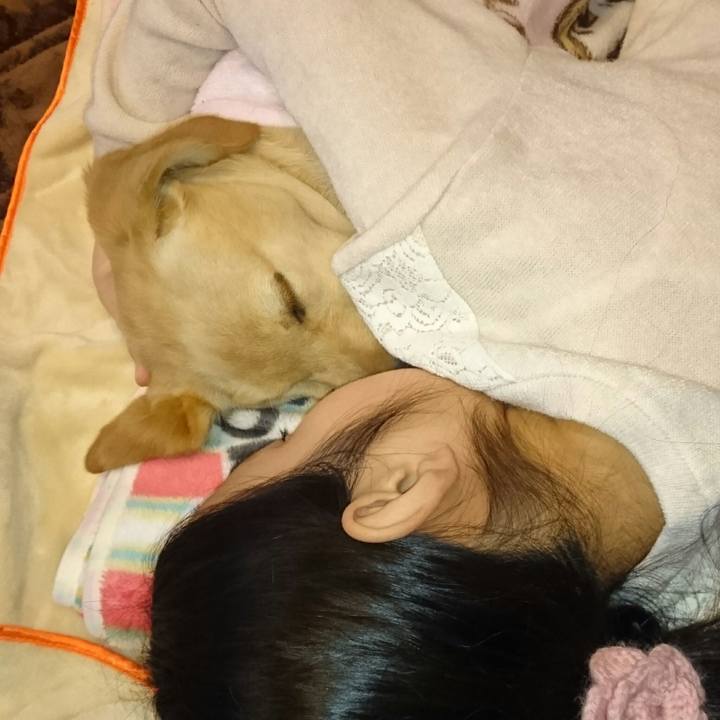 C857c71d d0e1 4a2c 9e26 5c6f1e74fd80