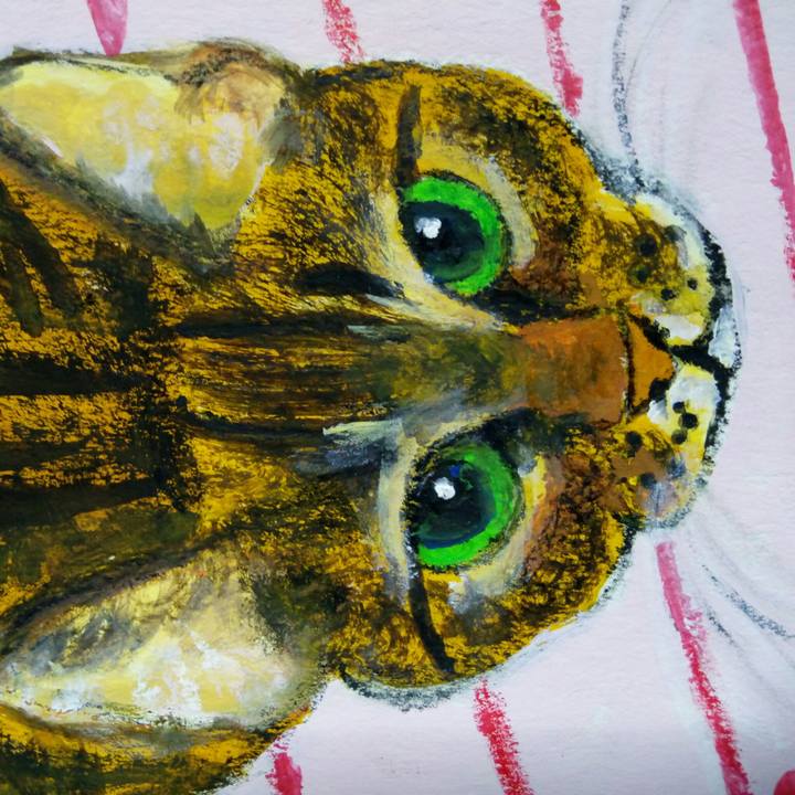 C858724d ad19 44c4 b1e7 6a1a1961f652