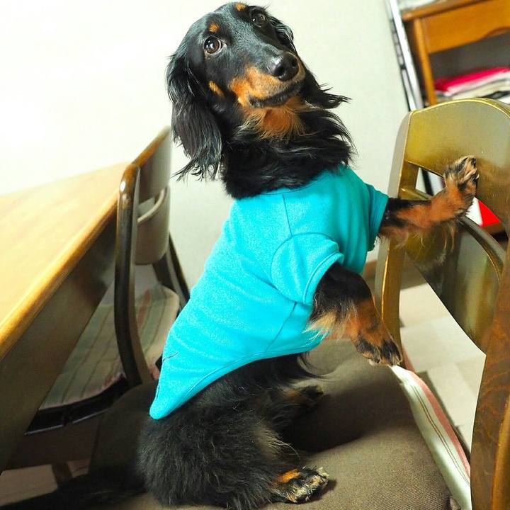 C858d54f 01f1 40e6 b80b 74ad1ff3763e