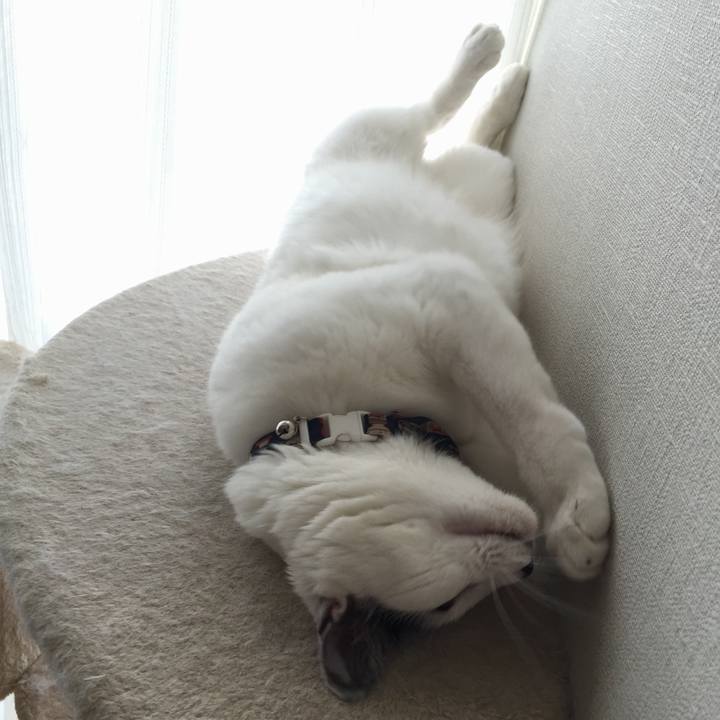 C859b00e 8be6 47e6 b199 a28b2b720d7c