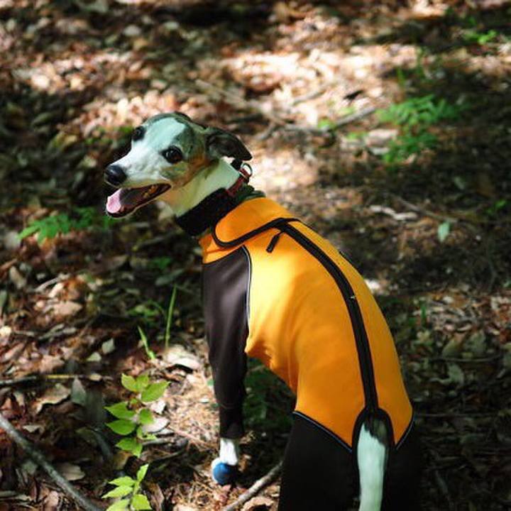 C859d577 b69d 4565 b7a1 b634a04bb098