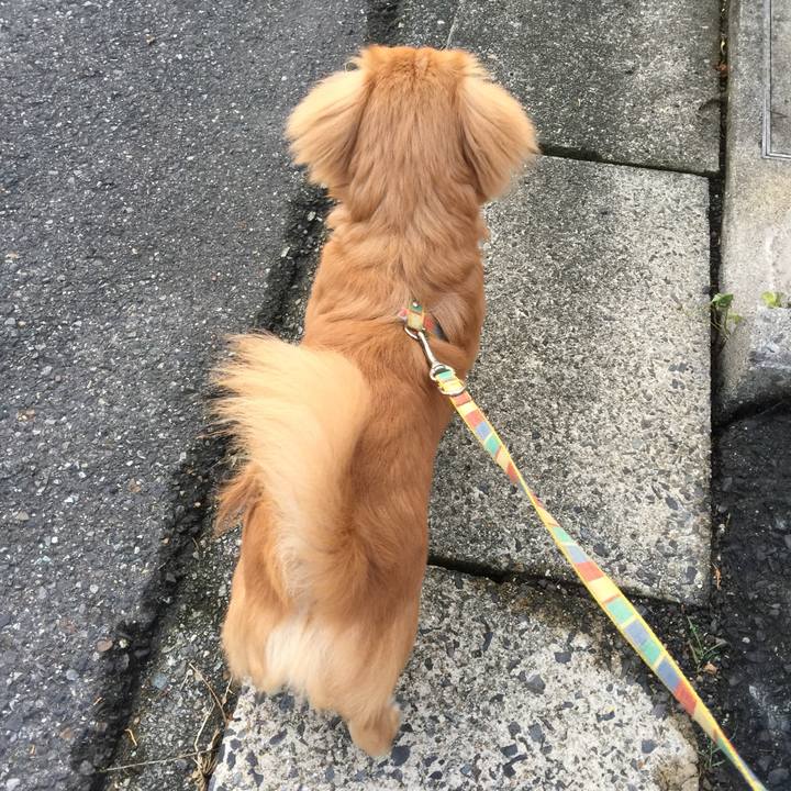 C85a443f fd6d 4340 81aa 7510cd54eead