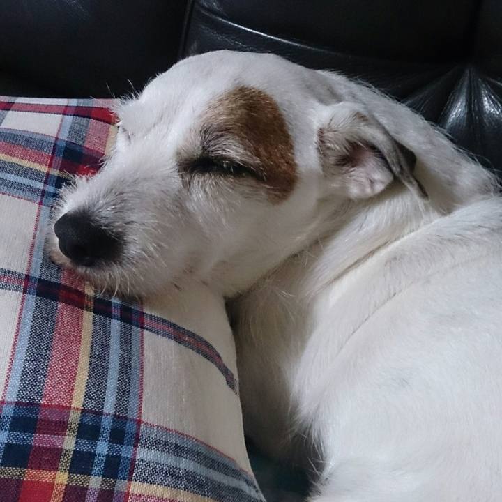 C85a59d5 5b85 406c 8eb0 558edde5e3d2