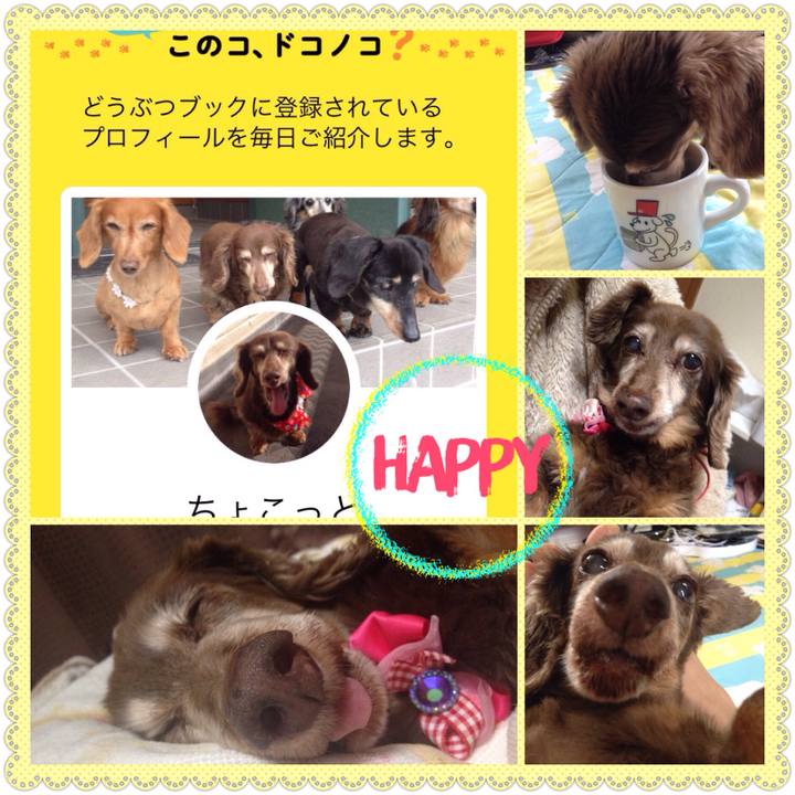 C85aa200 5935 4247 a11c ff041747fe39