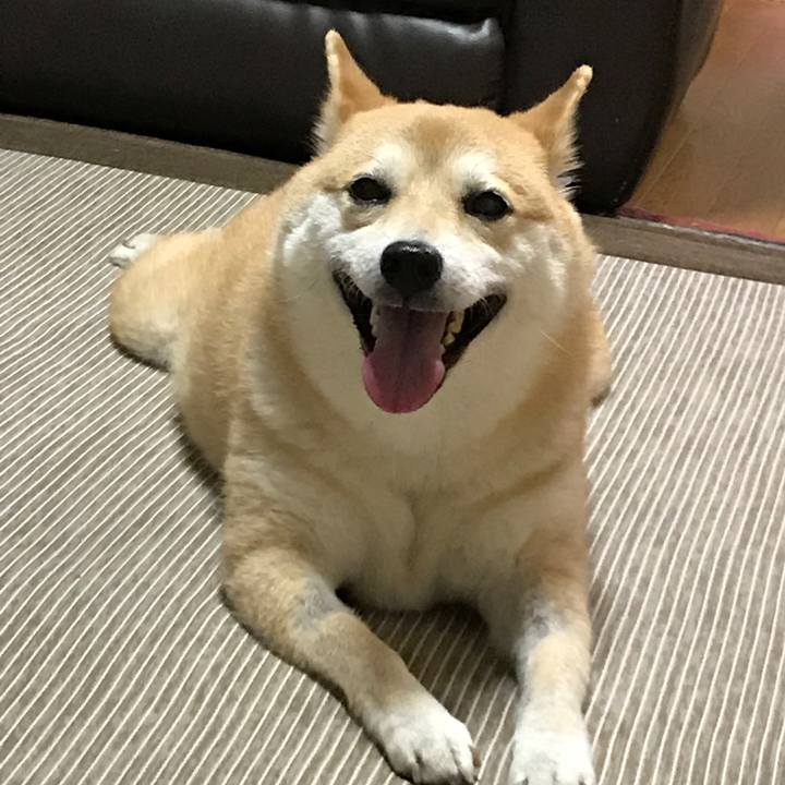 C85aadbd 813b 4418 9bb1 3bd5bd27fc9a