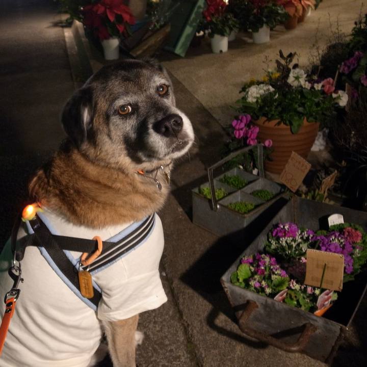 C85ac4ad 9ace 4d57 b42b 858927debd91