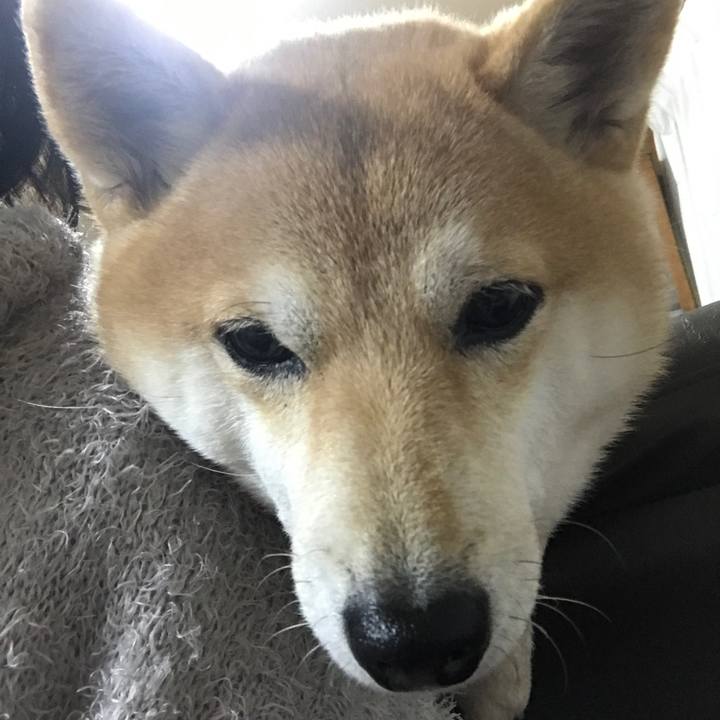 C85b3101 a66f 41f2 b81c a1fe5d0210a9