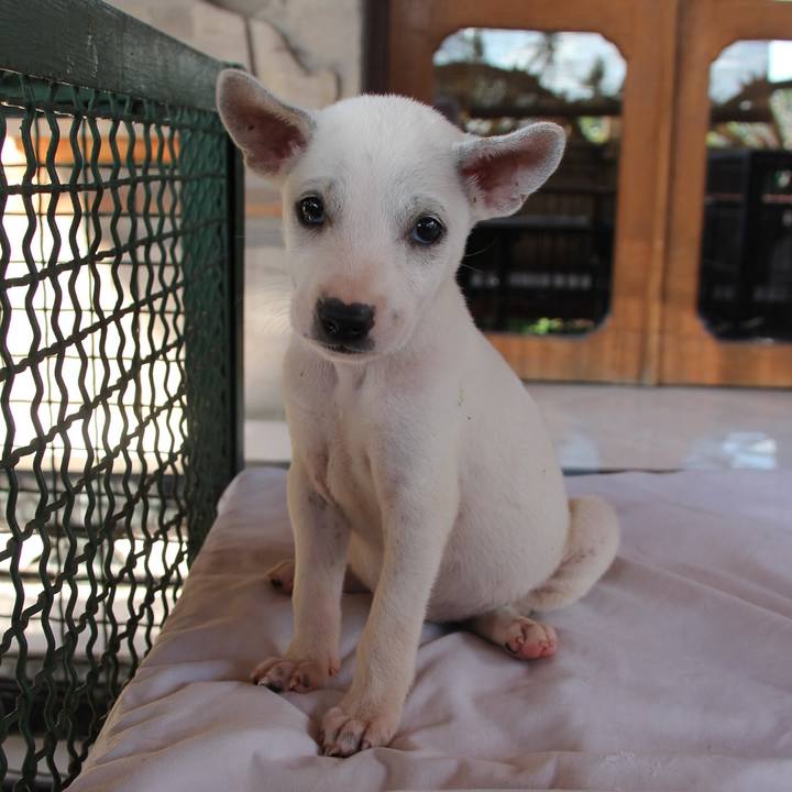 C85ba441 f8d1 461d 9ada b9da896228c7