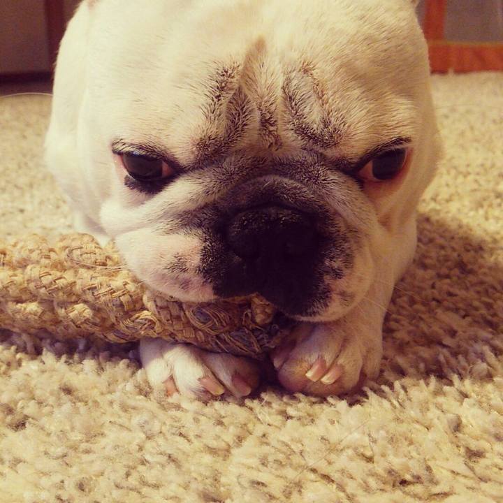 C85cdf86 1834 4249 9858 8c46d16649e9