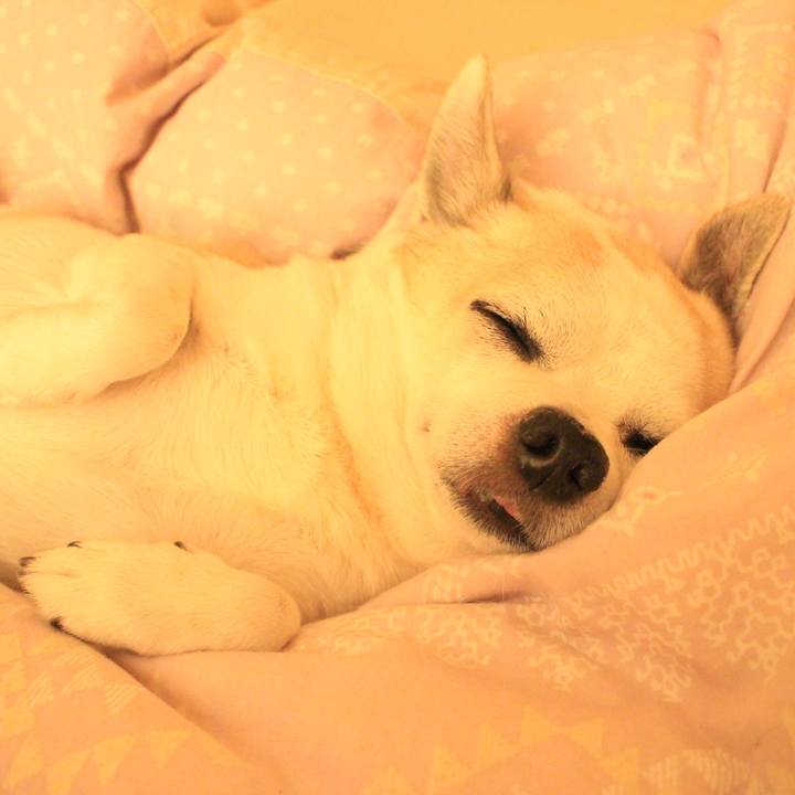 C85d1809 cec8 4ff7 8d54 1963f46a9b17