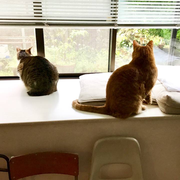 C85d61d5 94fd 4026 a854 38c067f8ab97