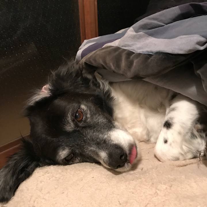 C85d72ca a827 4bc4 89cb 7de6561e7d85